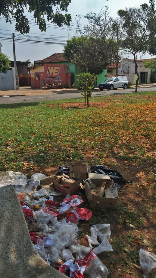 Meio Ambiente quer combater descarte de lixo, plantio irregular e fixação de placas nos canteiros centrais de TL Meio Ambiente quer combater descarte de lixo, plantio irregular e fixação de placas nos canteiros centrais de TL
