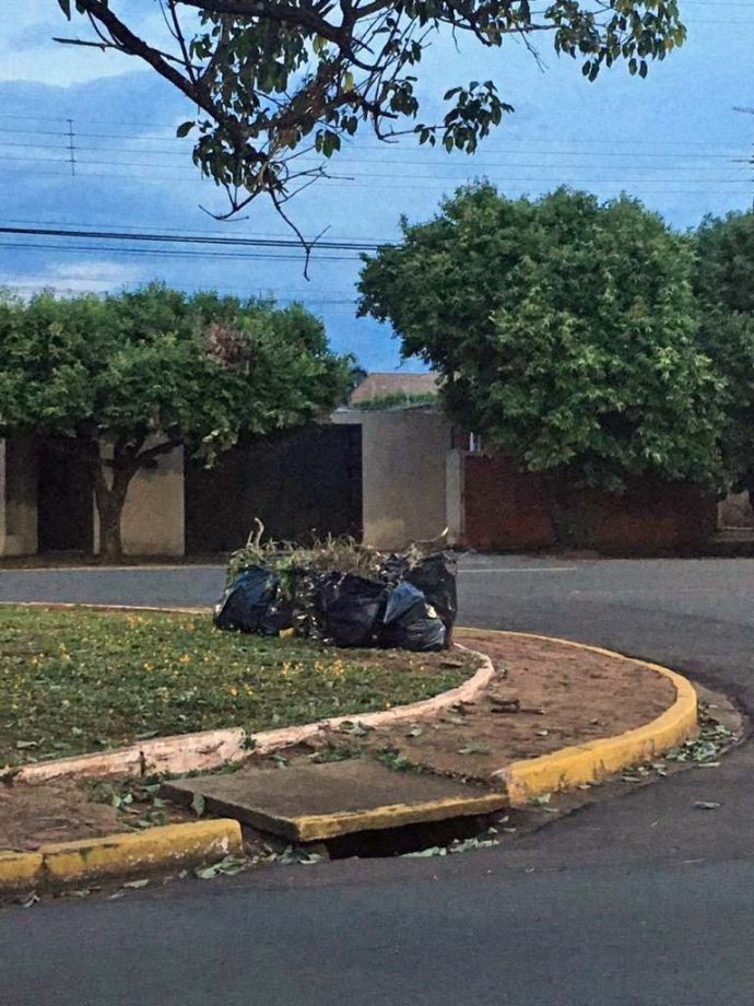Meio Ambiente quer combater descarte de lixo, plantio irregular e fixação de placas nos canteiros centrais de TL Meio Ambiente quer combater descarte de lixo, plantio irregular e fixação de placas nos canteiros centrais de TL