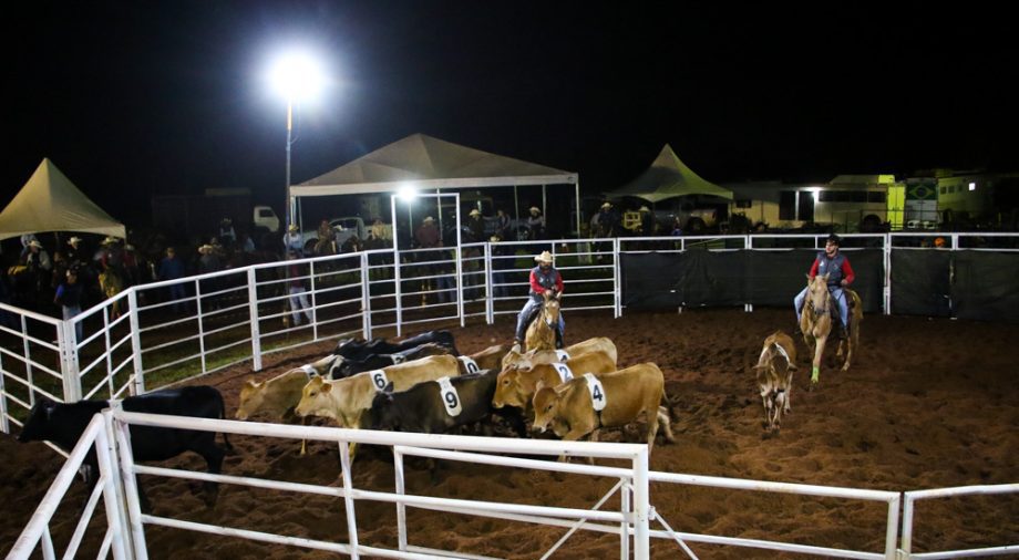 Competição de Ranch Sorting reuniu vários cowboys e cowgirls na Estância Boa Vista