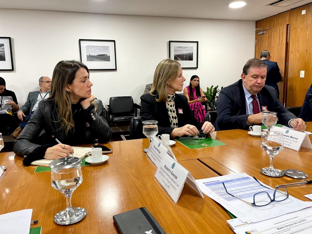 Em Brasília, governador garante recursos para obras prioritárias ao desenvolvimento de MS Em Brasília, governador garante recursos para obras prioritárias ao desenvolvimento de MS
