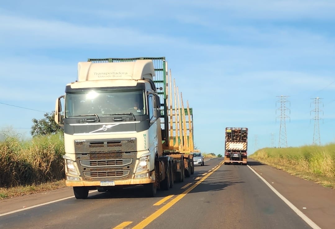 Sem obras estruturais urgentes, ‘rodovia da morte’, a BR-262 é foco de acidentes fatais em MS Sem obras estruturais urgentes, ‘rodovia da morte’, a BR-262 é foco de acidentes fatais em MS
