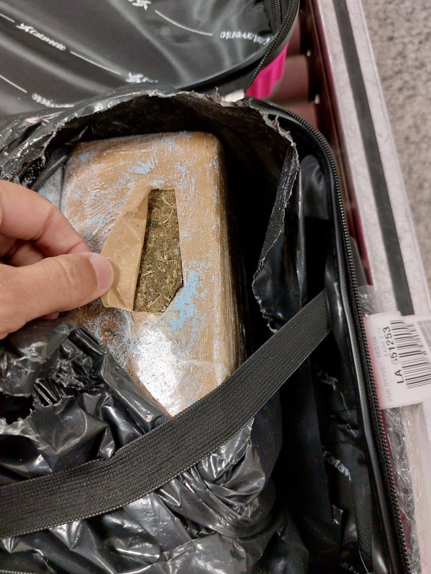 PF prende mulher por tráfico de drogas no aeroporto de Campo Grande PF prende mulher por tráfico de drogas no aeroporto de Campo Grande