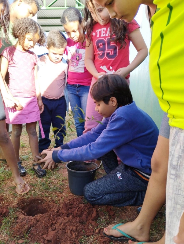 Crianças participam de atividades sobre preservação do meio ambiente em Brasilândia