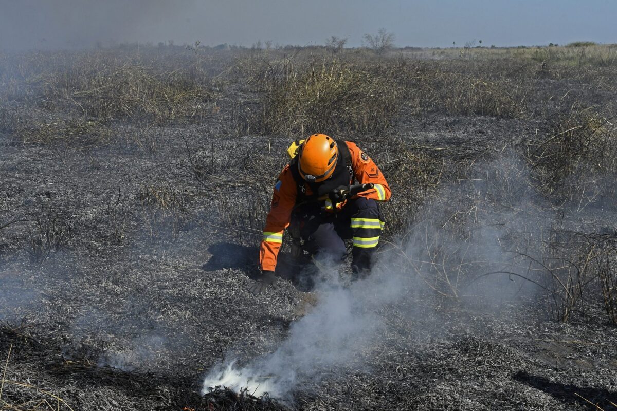 Ação integrada e treinamento contribuem para prevenção de incêndios florestais em MS Ação integrada e treinamento contribuem para prevenção de incêndios florestais em MS