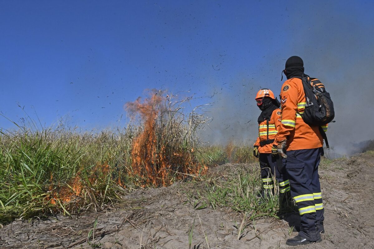 Ação integrada e treinamento contribuem para prevenção de incêndios florestais em MS Ação integrada e treinamento contribuem para prevenção de incêndios florestais em MS