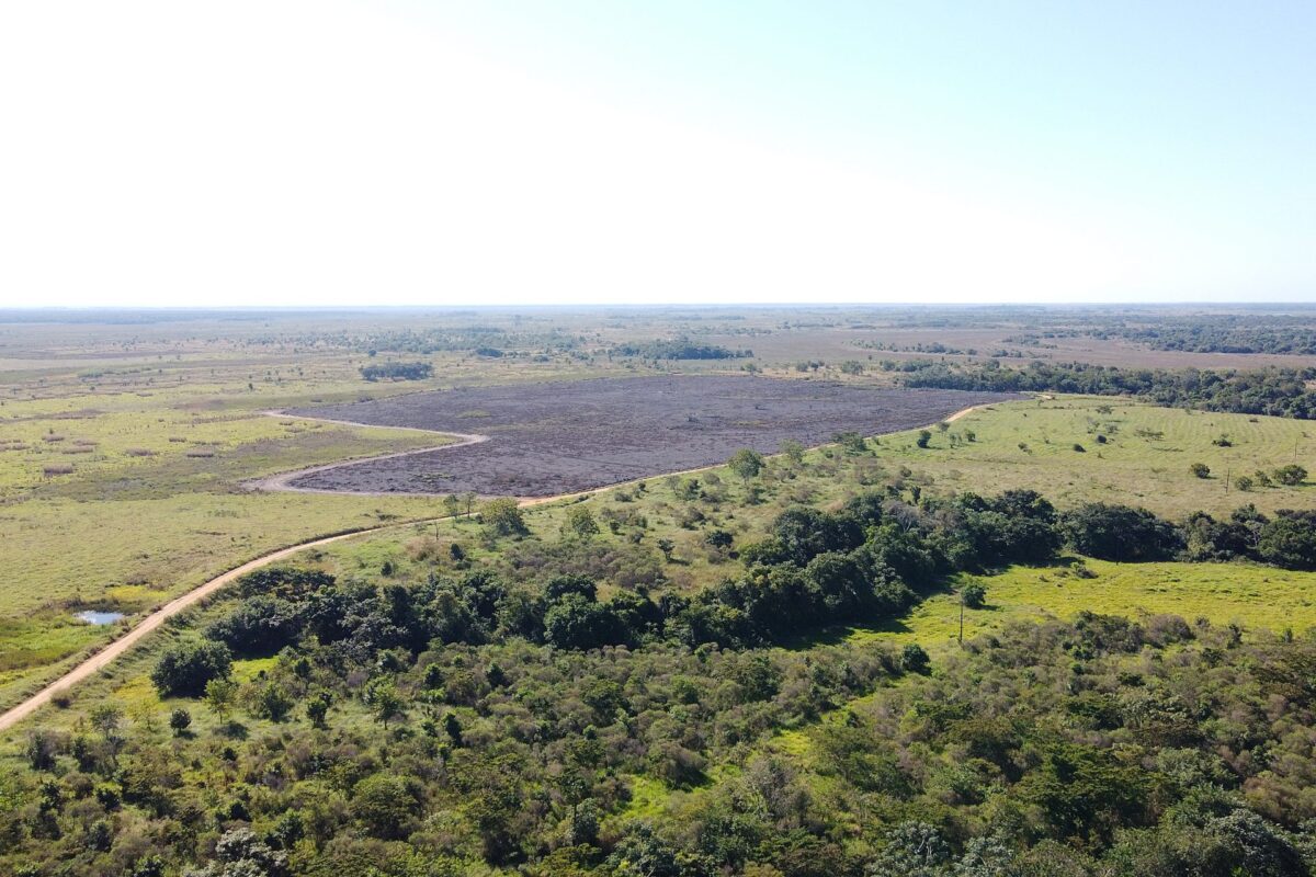 Ação integrada e treinamento contribuem para prevenção de incêndios florestais em MS Ação integrada e treinamento contribuem para prevenção de incêndios florestais em MS