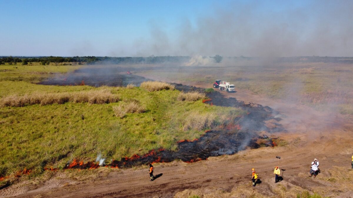 Em alerta para incêndios florestais, biomas de MS são monitorados para prevenção e agilidade em ações