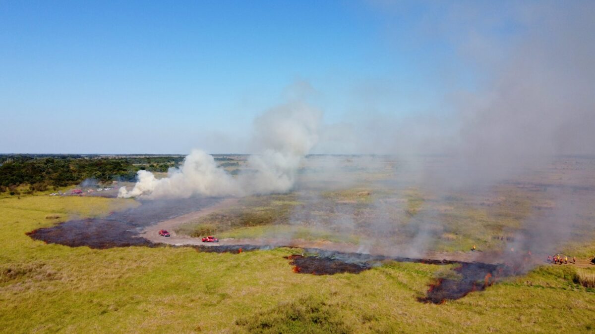 Em alerta para incêndios florestais, biomas de MS são monitorados para prevenção e agilidade em ações