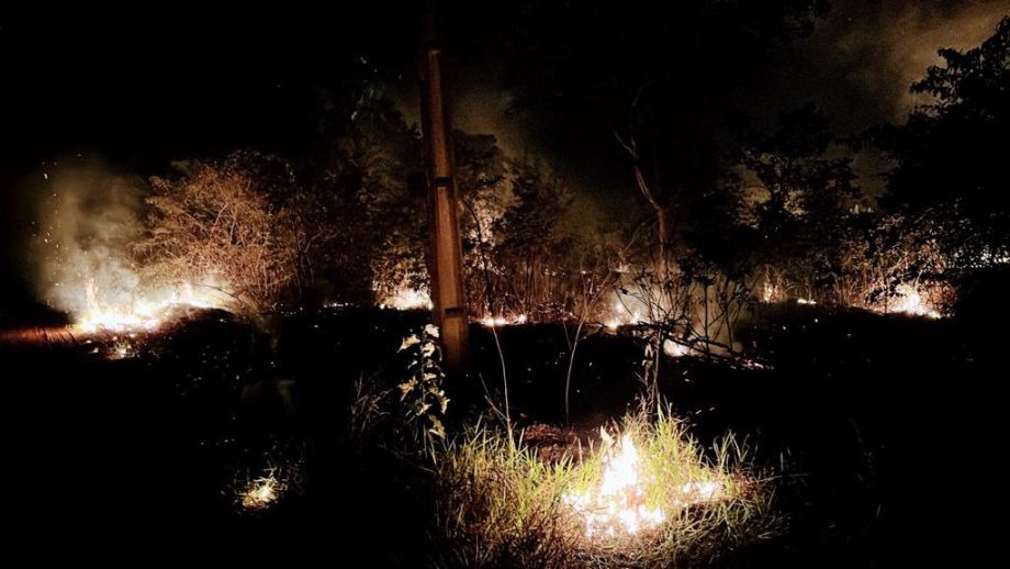 Incêndio criminoso destrói quase 20 hectares de mata e ameaça animais nativos na reserva da CESP
