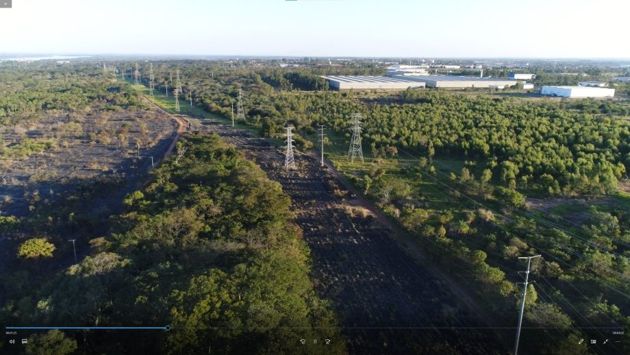 Incêndio criminoso destrói quase 20 hectares de mata e ameaça animais nativos na reserva da CESP