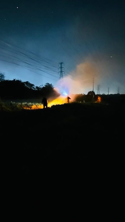 Incêndio criminoso destrói quase 20 hectares de mata e ameaça animais nativos na reserva da CESP