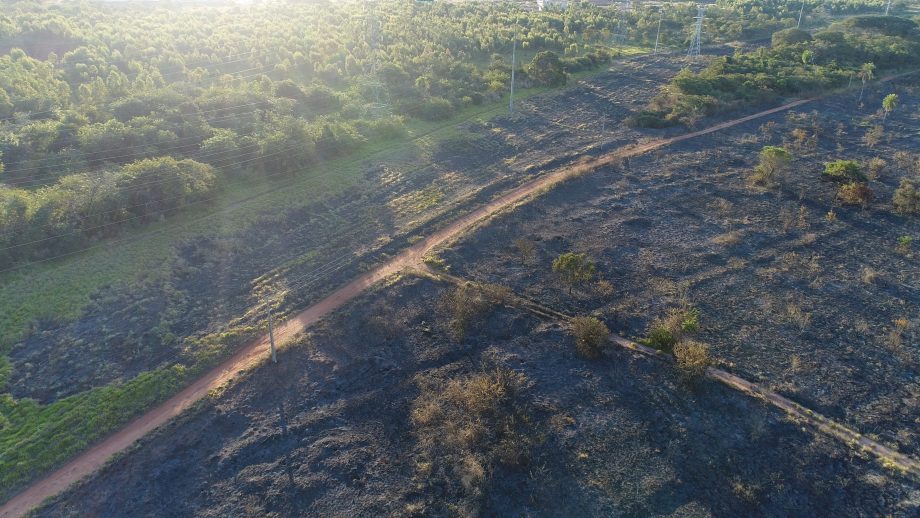 Incêndio criminoso destrói quase 20 hectares de mata e ameaça animais nativos na reserva da CESP