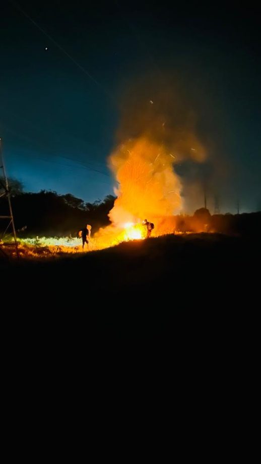 Incêndio criminoso destrói quase 20 hectares de mata e ameaça animais nativos na reserva da CESP