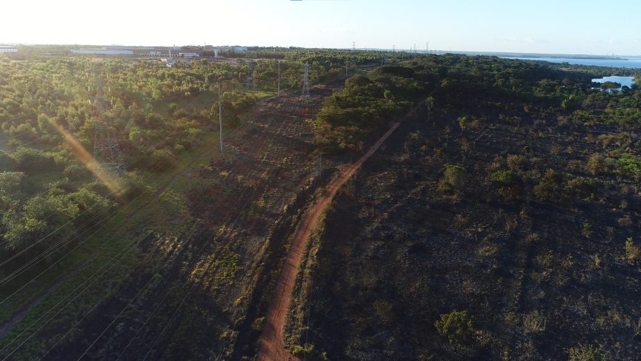 Incêndio criminoso destrói quase 20 hectares de mata e ameaça animais nativos na reserva da CESP