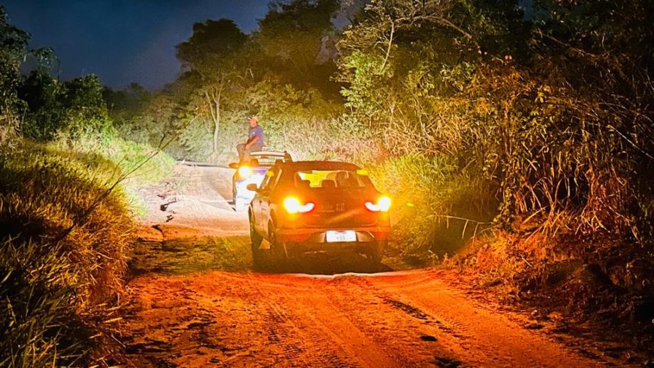 Incêndio criminoso destrói quase 20 hectares de mata e ameaça animais nativos na reserva da CESP