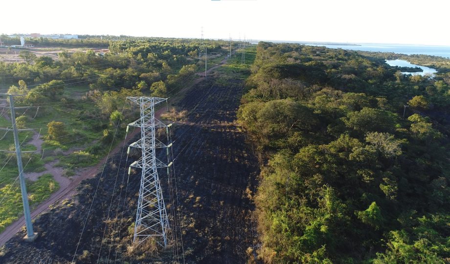 Incêndio criminoso destrói quase 20 hectares de mata e ameaça animais nativos na reserva da CESP