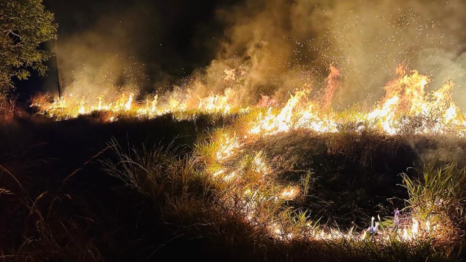 Incêndio criminoso destrói quase 20 hectares de mata e ameaça animais nativos na reserva da CESP