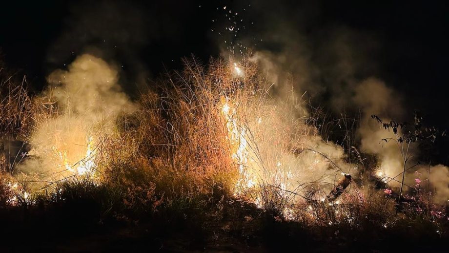 Incêndio criminoso destrói quase 20 hectares de mata e ameaça animais nativos na reserva da CESP