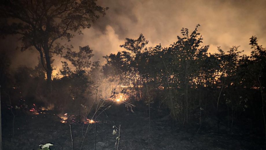 Incêndio criminoso destrói quase 20 hectares de mata e ameaça animais nativos na reserva da CESP