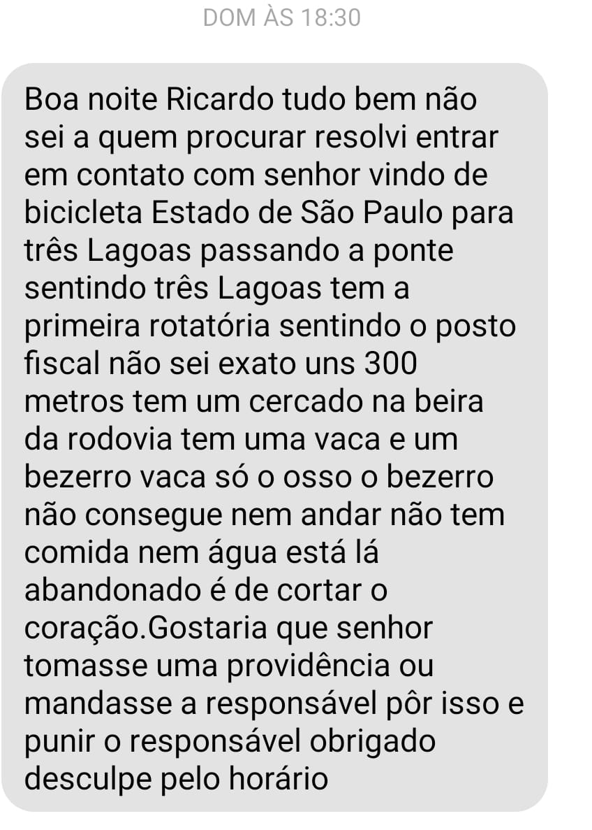 CRUELDADE: animais são encontrados sem comida e água em rancho de Três Lagoas