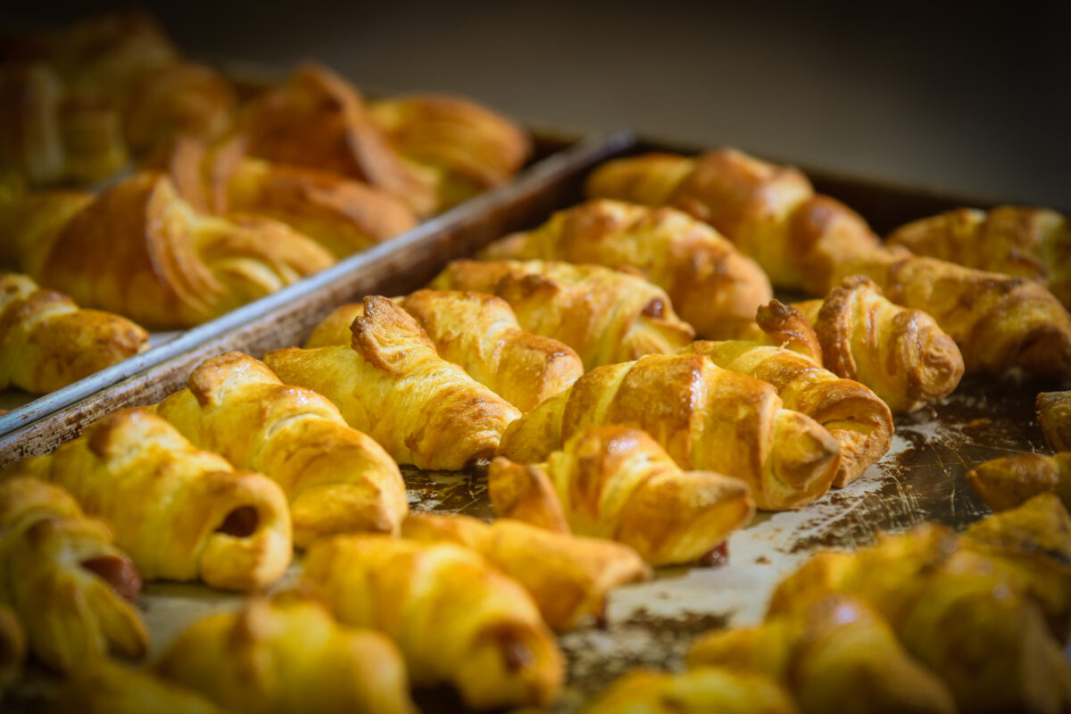 Prefeitura e Senai ofertam mais três cursos profissionalizantes em Ribas Prefeitura e Senai ofertam mais três cursos profissionalizantes em Ribas