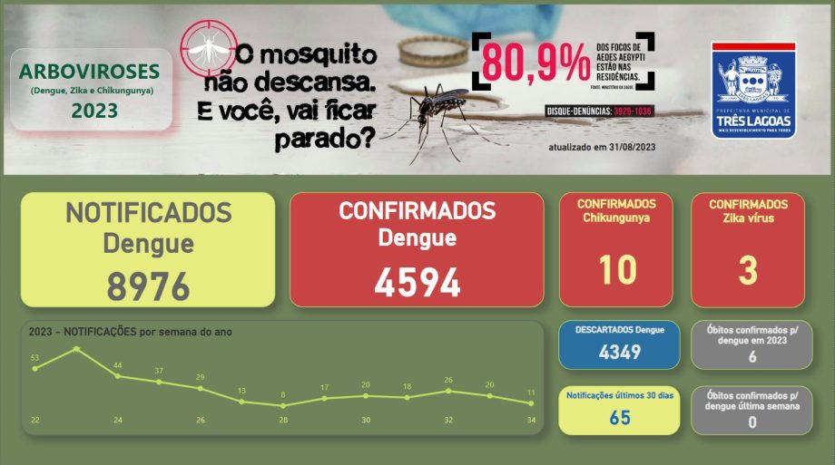 BOLETIM DENGUE em Três Lagoas – 31 de agosto de 2023