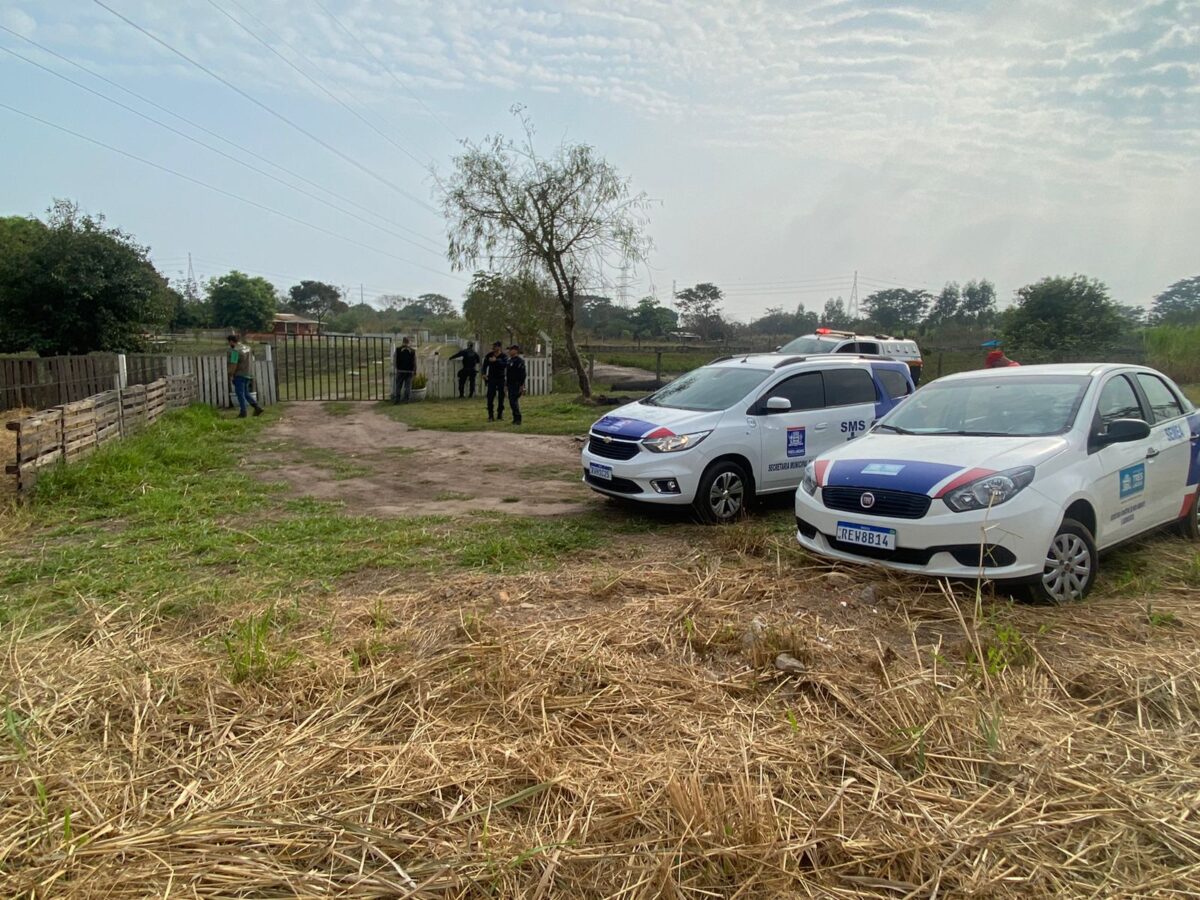 CRUELDADE: animais são encontrados sem comida e água em rancho de Três Lagoas