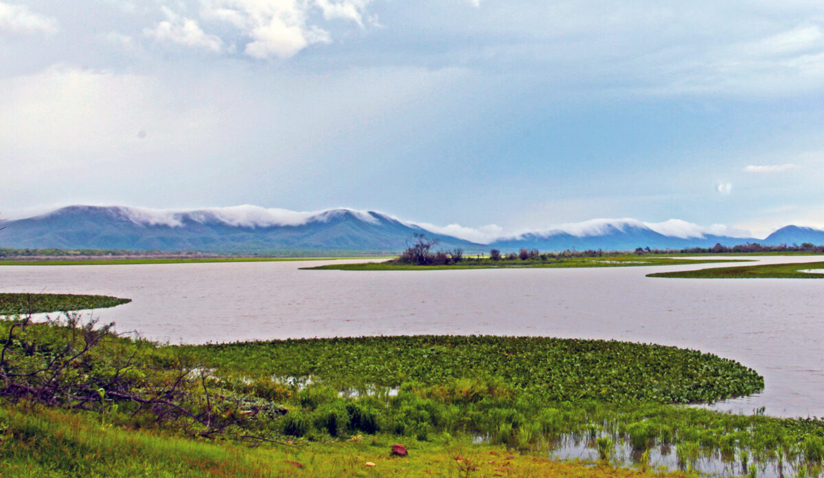 Com ações do Governo do Estado, Pantanal tem 85% da área preservada e redução do desmatamento Com ações do Governo do Estado, Pantanal tem 85% da área preservada e redução do desmatamento