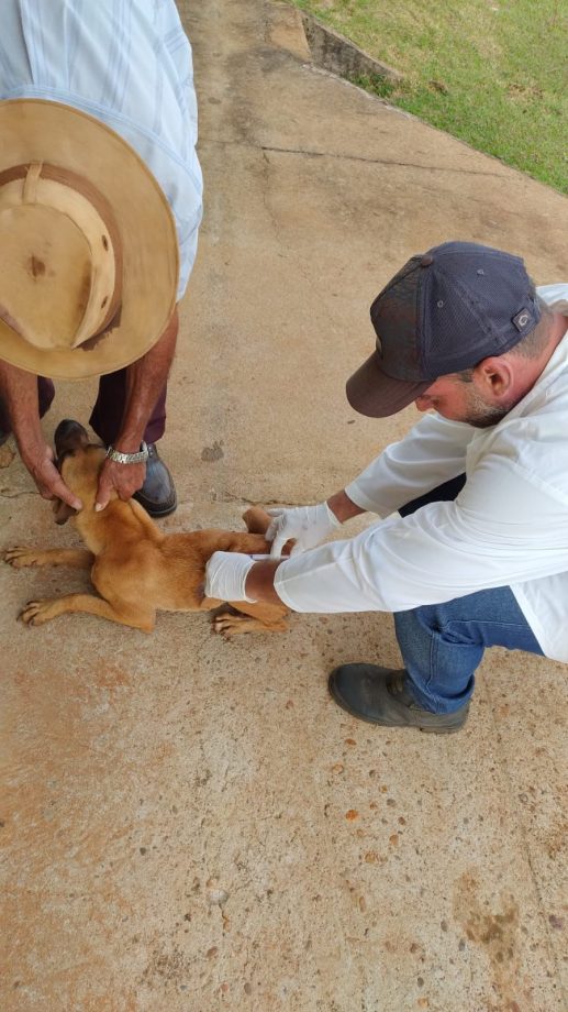 Primeiro dia da Campanha Multivacinação Rural 2023 aplicou 196 doses; ação continua nesta terça-feira (29)