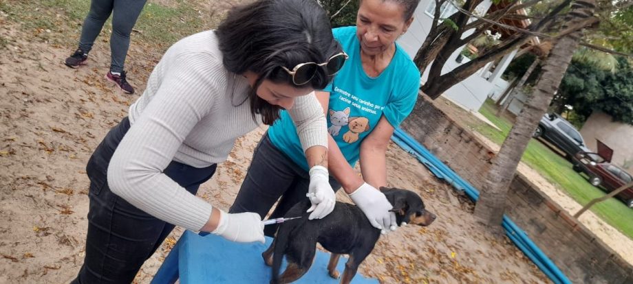 Primeiro dia da Campanha Multivacinação Rural 2023 aplicou 196 doses; ação continua nesta terça-feira (29)