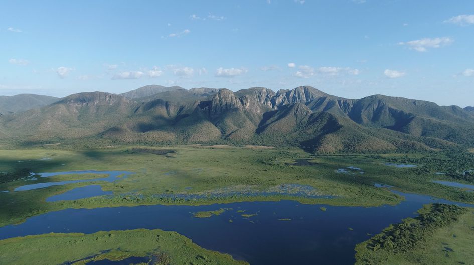 Com ações do Governo do Estado, Pantanal tem 85% da área preservada e redução do desmatamento Com ações do Governo do Estado, Pantanal tem 85% da área preservada e redução do desmatamento