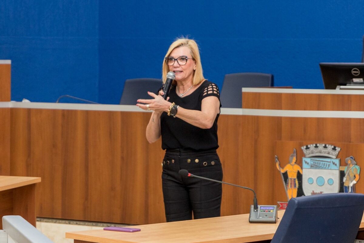 Câmara realiza segunda audiência pública sobre segurança nas escolas