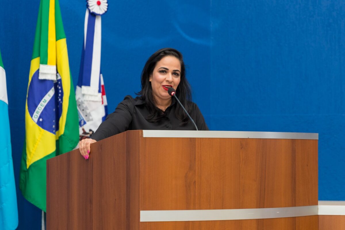 Câmara realiza segunda audiência pública sobre segurança nas escolas
