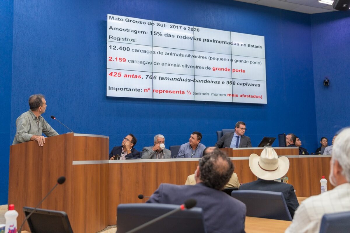 Políticos e representantes de diversos segmentos se mobilizam e discutem a duplicação da BR-262 Políticos e representantes de diversos segmentos se mobilizam e discutem a duplicação da BR-262