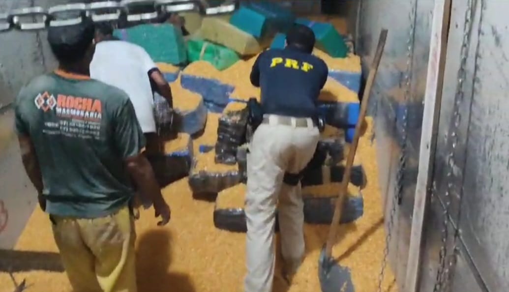 PRF apreende mais de 5 toneladas de maconha em carga de milho