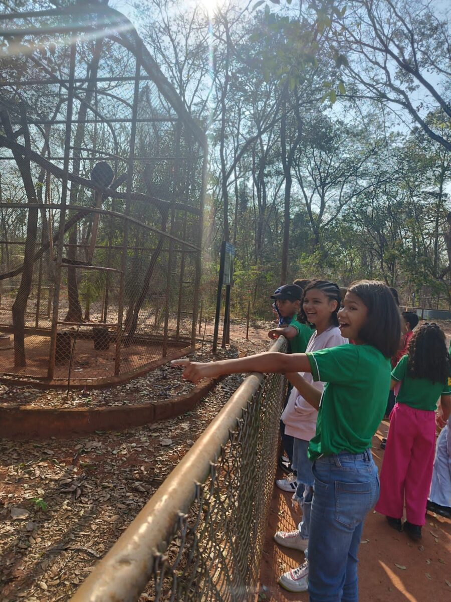 Crianças e adolescentes de Brasilândia visitam zoológico em Ilha Solteira