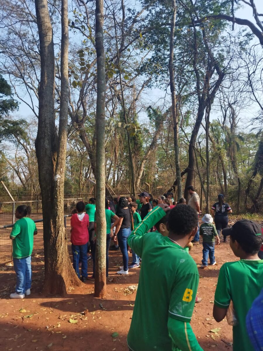 Crianças e adolescentes de Brasilândia visitam zoológico em Ilha Solteira
