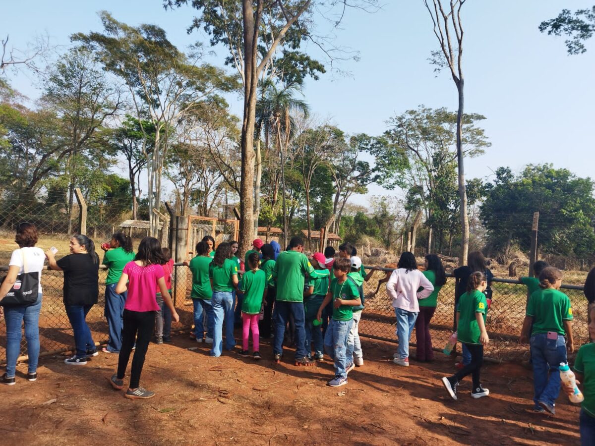 Crianças e adolescentes de Brasilândia visitam zoológico em Ilha Solteira