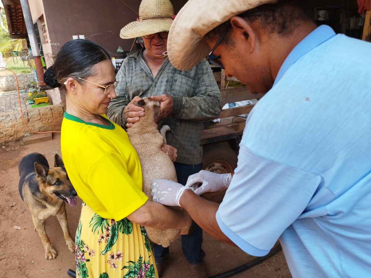 Brasilândia realiza vacinação contra a raiva animal na zona rural