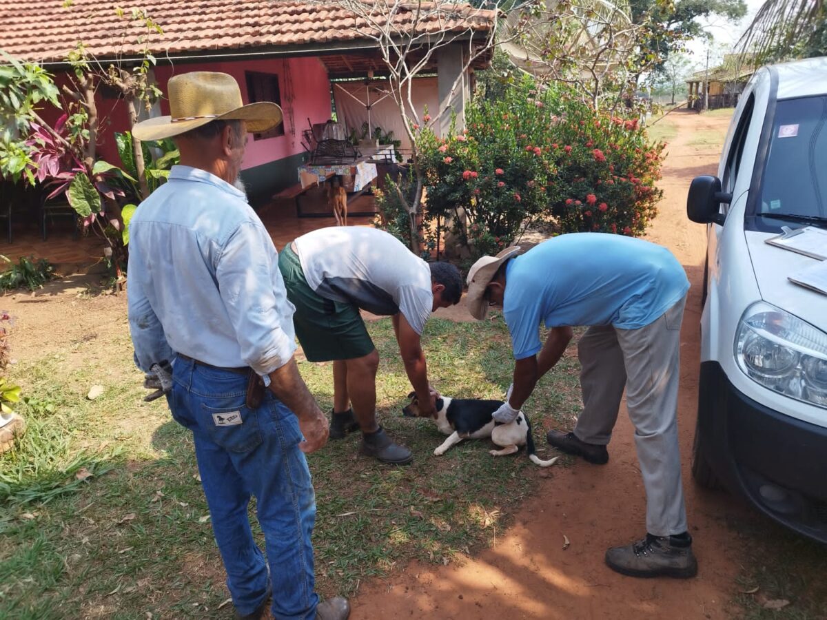 Brasilândia realiza vacinação contra a raiva animal na zona rural