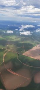 MS desponta no agronegócio nacional com alta na renda agropecuária e na busca por crédito rural MS desponta no agronegócio nacional com alta na renda agropecuária e na busca por crédito rural