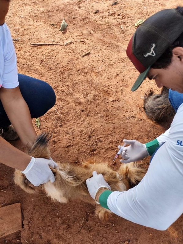 Saúde de Brasilândia continua campanha antirrábica percorrendo áreas rurais