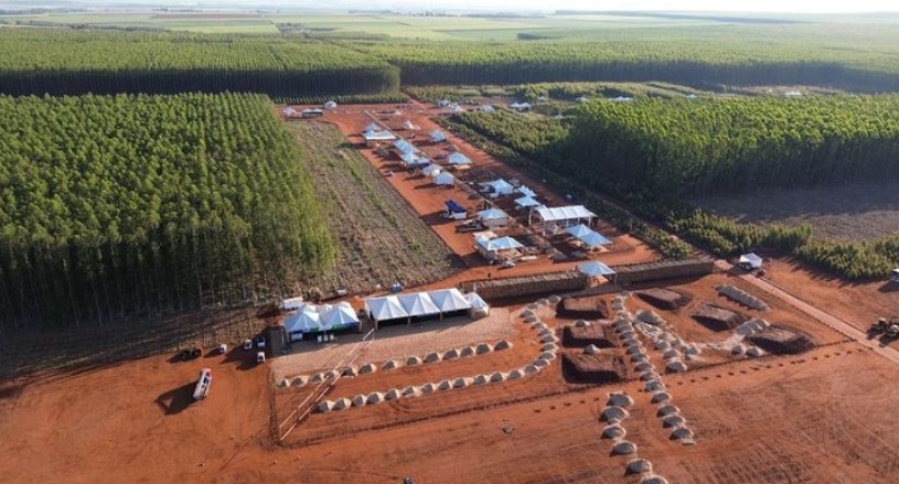 EXPOFOREST 2023: Maior feira florestal dinâmica do mundo acontece na próxima semana e deve reunir 40 mil visitantes