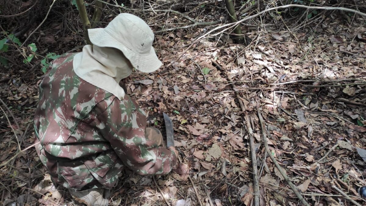 Projeto com certificação de crédito de carbono no Pantanal é inovador e segue política estadual