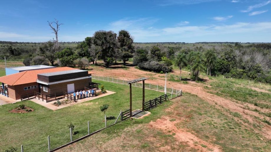 Monitoramento no Parque Natural do Pombo completa 1 ano e comemora registro de 69 animais silvestres, alguns raros na natureza Monitoramento no Parque Natural do Pombo completa 1 ano e comemora registro de 69 animais silvestres, alguns raros na natureza