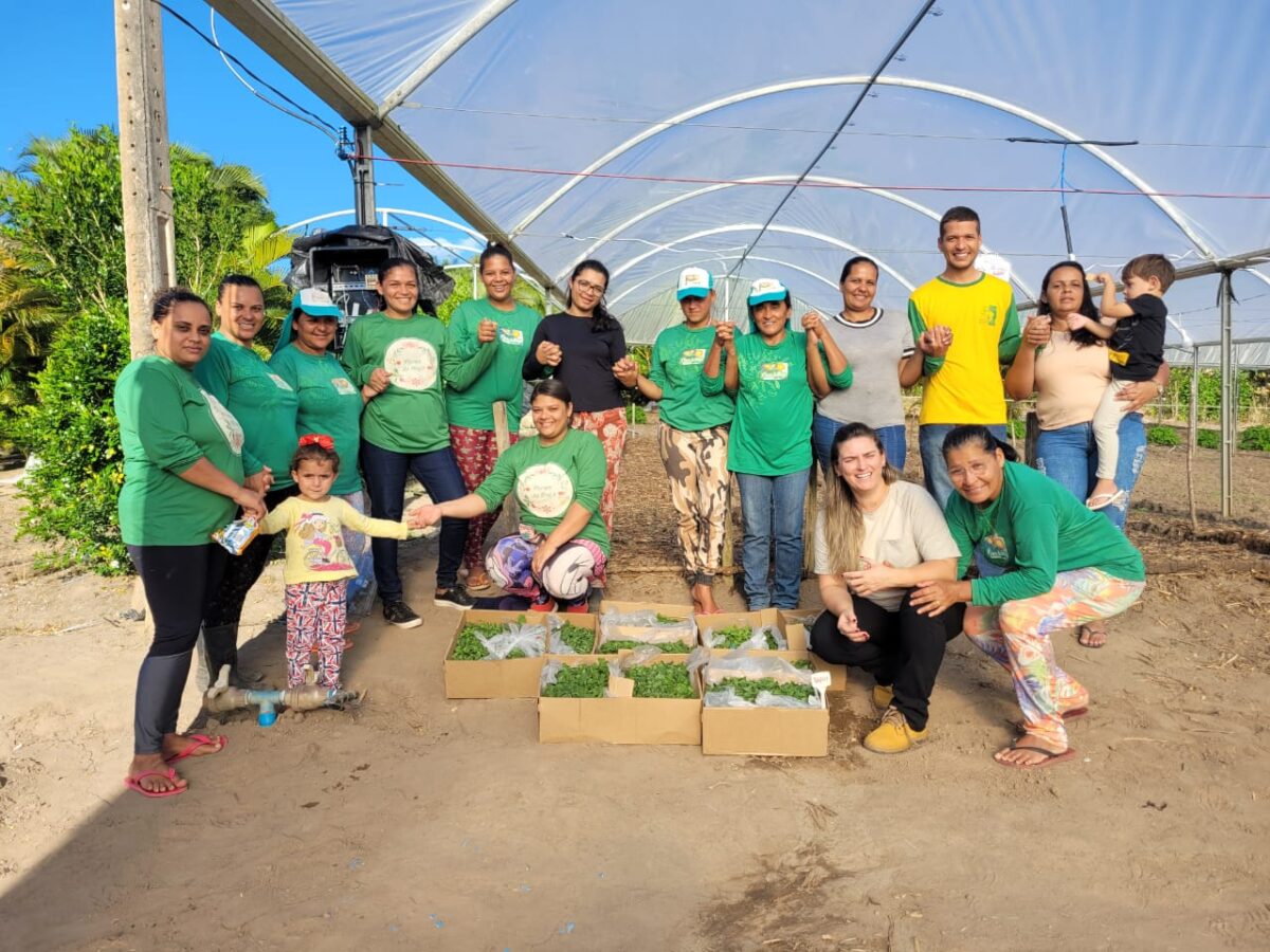 Reforma Tributária provocará impactos negativos para a floricultura nacional