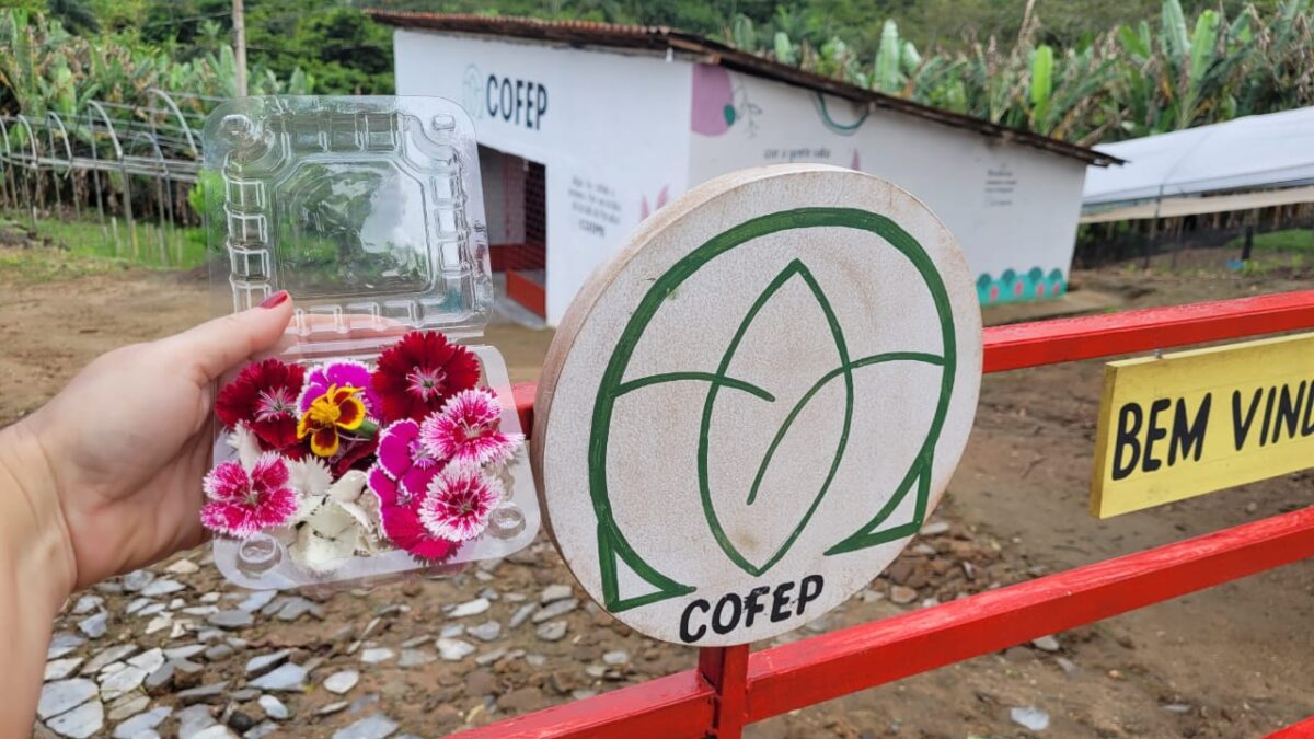 Reforma Tributária provocará impactos negativos para a floricultura nacional