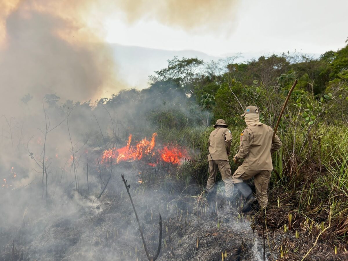 Combate a incêndio no Pantanal do Rio Negro ocorre há cinco dias e trabalho tem reforço