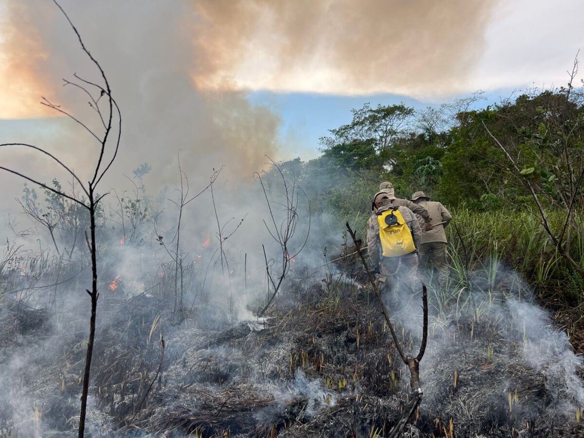 Por terra, água e ar: bombeiros iniciam combate aéreo a focos de incêndio em Bonito
