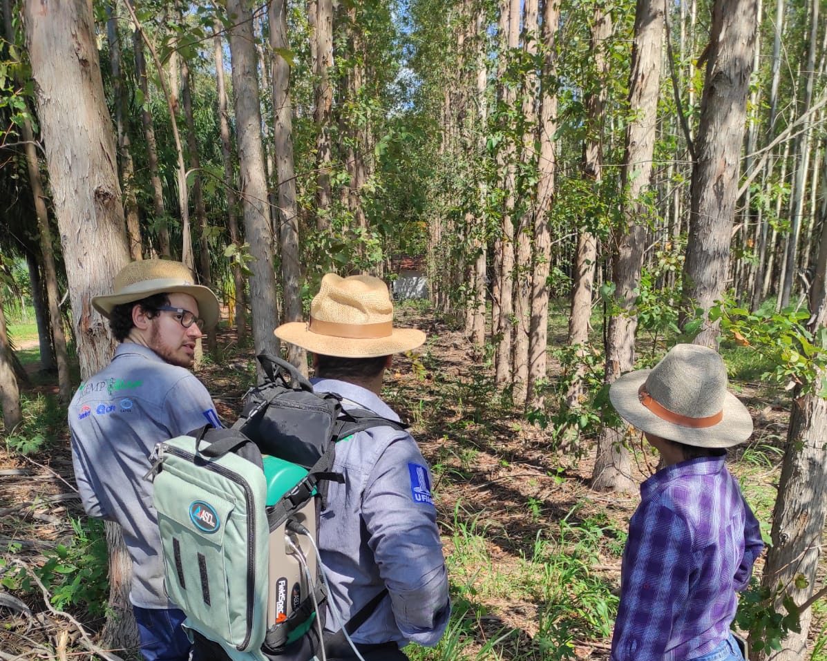 Pesquisa inédita revela que expansão de eucalipto pode ajudar MS alcançar a meta carbono neutro 2030